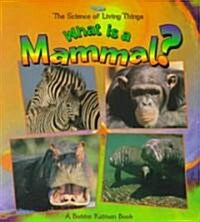 What Is a Mammal? (Paperback)