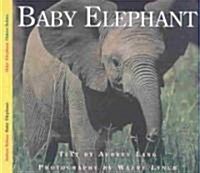 Baby Elephant (Paperback)