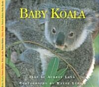 Baby Koala (Hardcover)