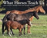 What Horses Teach Us 2008 Calendar (Paperback, Wall)