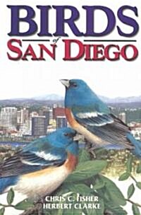 Birds of San Diego (Paperback)