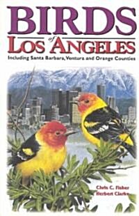 Birds of Los Angeles (Paperback)
