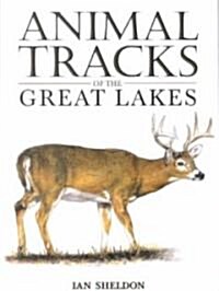 Animal Tracks of the Great Lakes (Paperback)