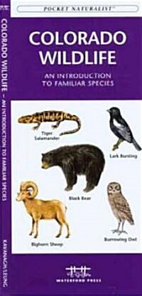 Colorado Wildlife: An Introduction to Familiar Species (Other)