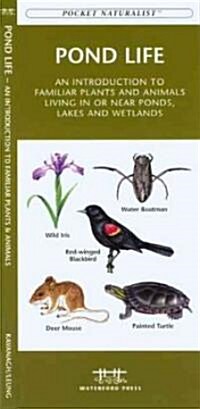 Pond Life: An Introduction to Familiar Plants and Animals Living in or Near Ponds, Lakes and Wetlands (Other)