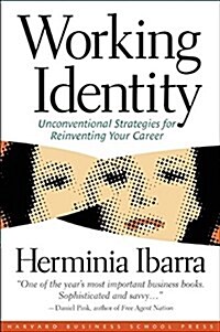 Working Identity: Unconventional Strategies for Reinventing Your Career (Paperback, Revised)