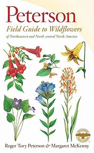A Peterson Field Guide to Wildflowers: Northeastern and North-Central North America (Paperback, 2)