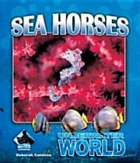 Sea Horses (Library Binding)