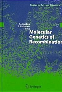 Molecular Genetics of Recombination (Hardcover)