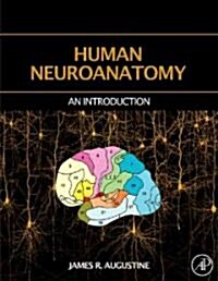 Human Neuroanatomy (Hardcover)
