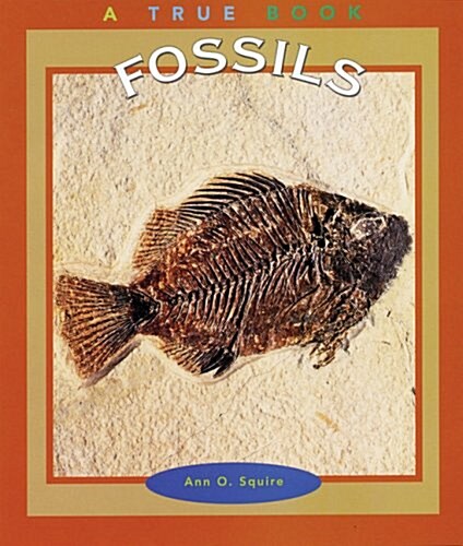 Fossils (Library)