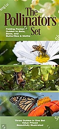 Pollinators: Folding Pocket Guides to Bees, Butterflies & Moths and Bats (Paperback)