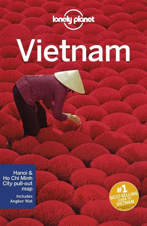 Lonely Planet Vietnam 14 (Paperback, 14)