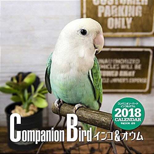 2018年大判カレンダ- コンパニオン·バ-ド インコ&オウム ([カレンダ-]) (大型本)