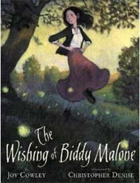 The Wishing of Biddy Malone (School & Library)