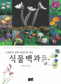 (사진으로 보는)식물백과= Encyclopedia of Plants in Pictures : 야생화, 원예식물, 버섯, 벌레잡이 식물