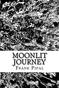 Moonlit Journey (Paperback)