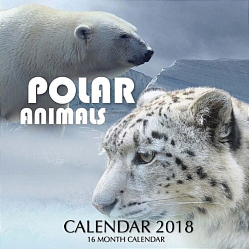 Polar Animals Calendar 2018: 16 Month Calendar (Paperback)