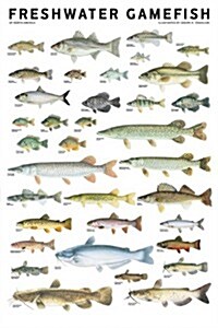 Freshwater Gamefish of North America Poster (Other)
