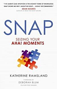 Snap: Seizing Your Aha! Moments (Hardcover)