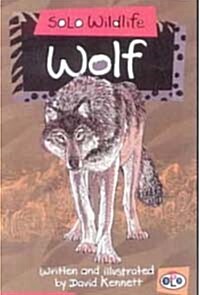 Solo Wildlife: Wolf (Paperback)