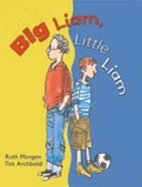 Big Liam, Little Liam (Paperback, 1st)