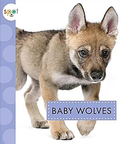 Baby Wolves (Library Binding)