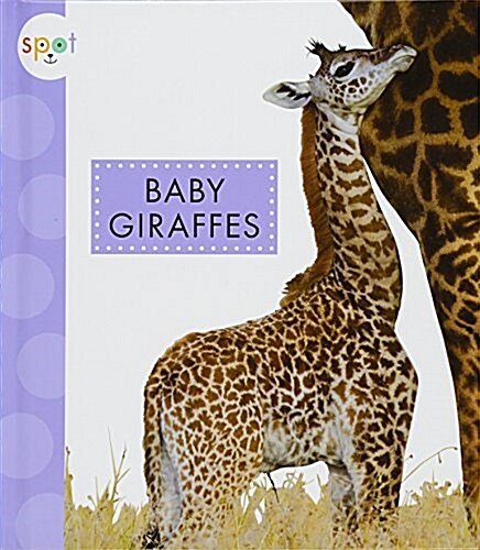 Baby Giraffes (Library Binding)