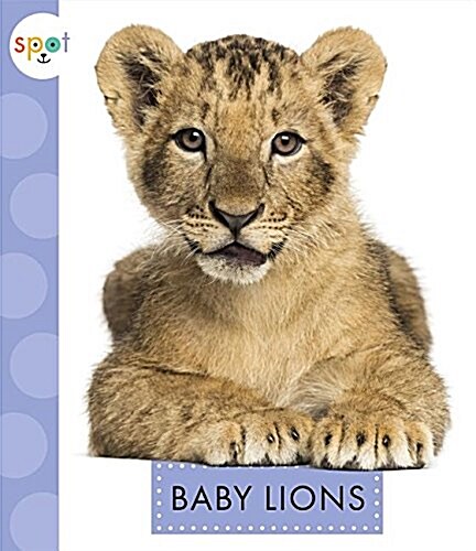 Baby Lions (Library Binding)