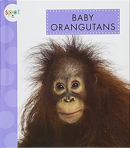 Baby Orangutans (Library Binding)