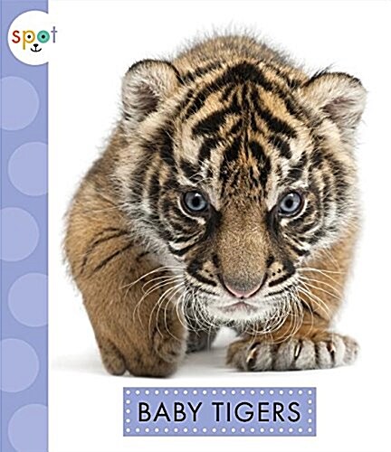 Baby Tigers (Library Binding)