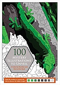 100 Mystery Illustrations to Unveil (Other)