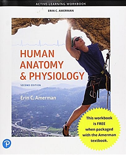 Active-Learning Workbook for Human Anatomy & Physiology (Paperback, 2)