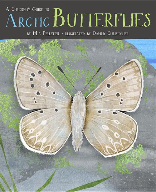 A Childrens Guide to Arctic Butterflies (Hardcover, English)
