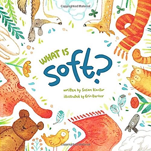 What Is Soft? (Board Books)