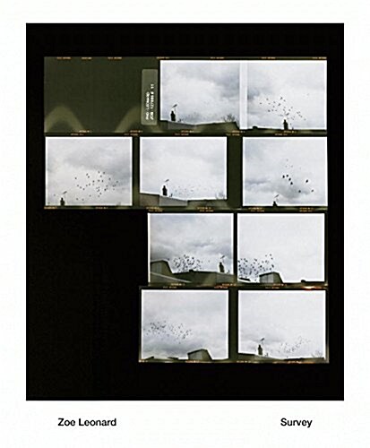 Zoe Leonard: Survey (Hardcover)