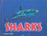 Sharks (Paperback, 1st)