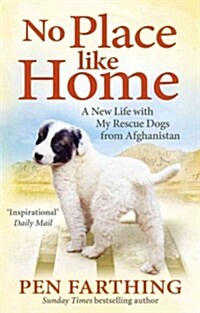No Place Like Home : A New Beginning with the Dogs of Afghanistan (Paperback)