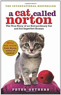 A Cat Called Norton (Paperback)