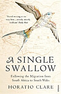 A Single Swallow : Following an Epic Journey from South Africa to South Wales (Paperback)