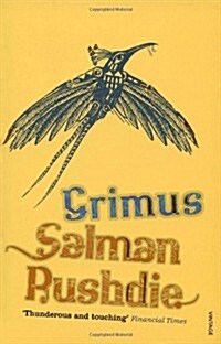 Grimus (Paperback)