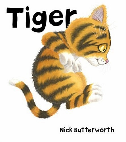 Tiger (Hardcover)