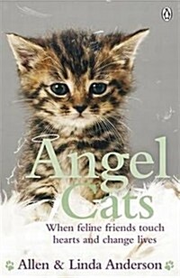 Angel Cats : When Feline Friends Touch Hearts and Change Lives (Paperback)