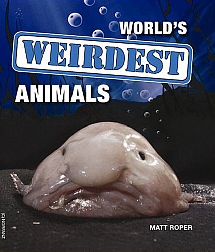 Worlds Weirdest Animals (Paperback)
