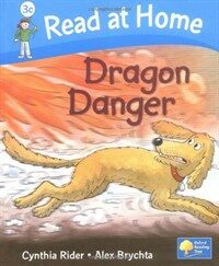 Dragon Danger (Hardcover)