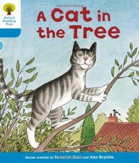 (A) Cat in the tree