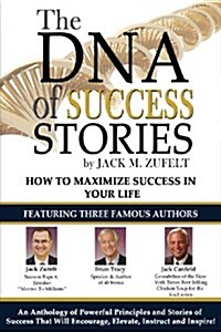 The DNA of Success Stories (Paperback, 2)