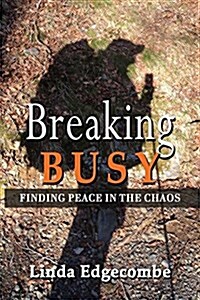 Breaking Busy: Finding Peace in the Chaos (Paperback)