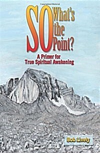 So Whats the Point?: A Primer for True Spiritual Awakening (Paperback)