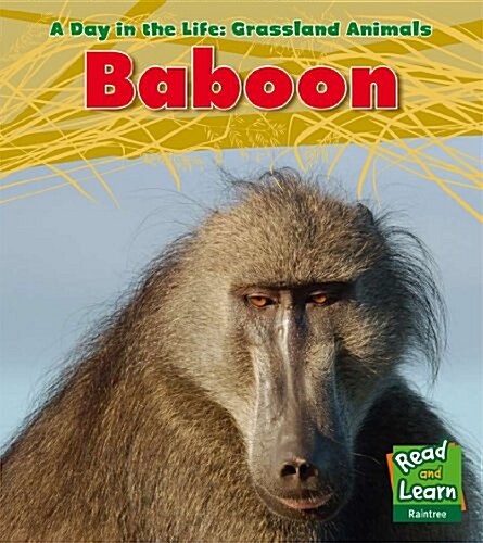 Baboon (Hardcover)